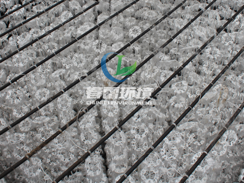 垃圾滲濾液處理公司簡(jiǎn)述垃圾滲濾液具體從何而來